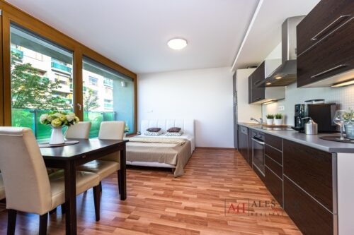 Byt 1+kk, balkon